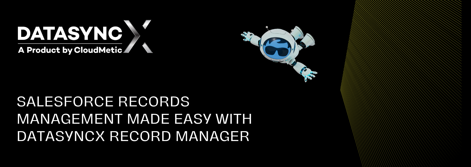 Salesforce Record Management Made Easy with DataSyncX Record Manager